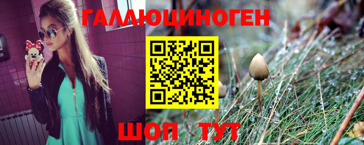 Псилоцибиновые грибы GOLDEN TEACHER  Вход с VPN  Сосновый Бор 